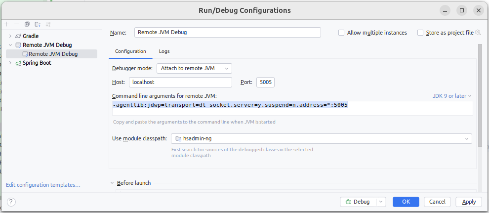 IntelliJ IDEA JVM-Debug Run Config